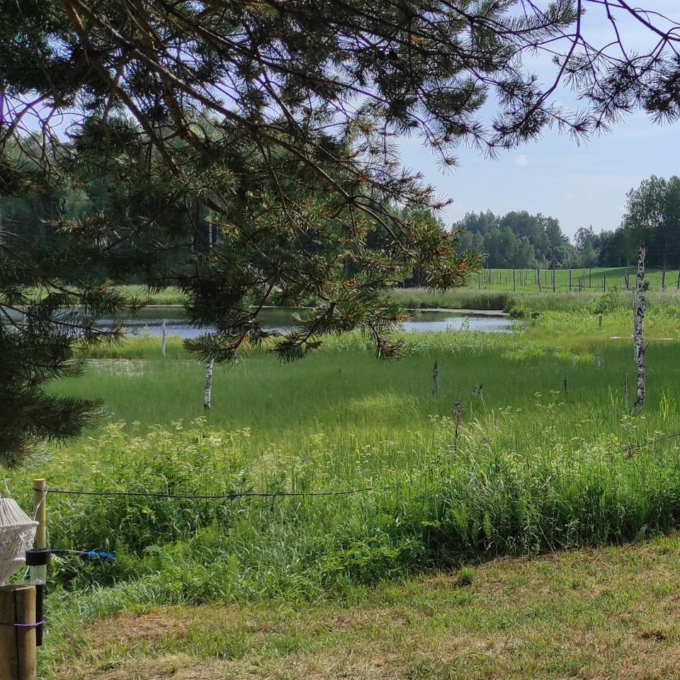 Natural landscape, Lake view