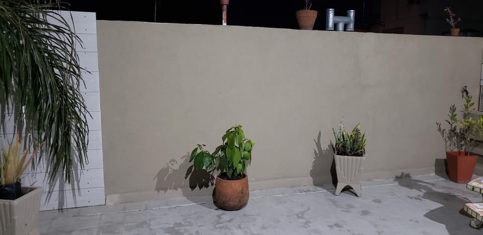 Garden view