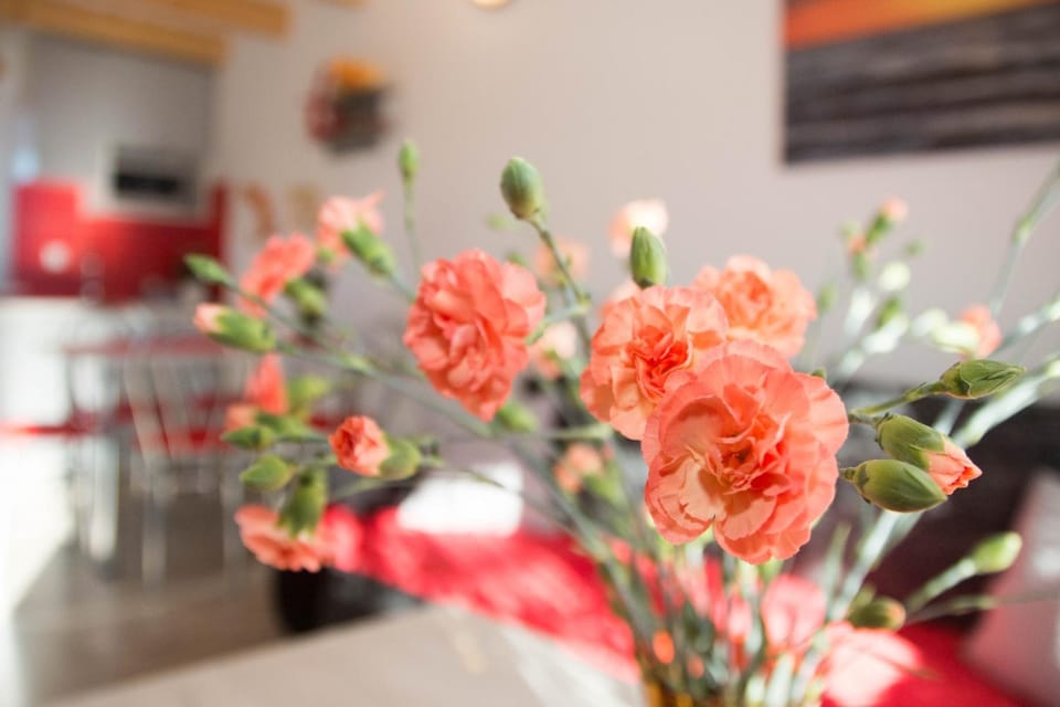 Ustka Domek letniskowy Zachód Słońca House in Pomeranian Voivodeship