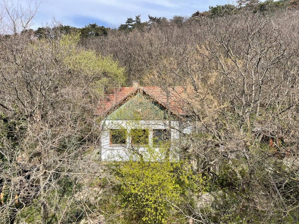 Property building, Natural landscape, Mountain view