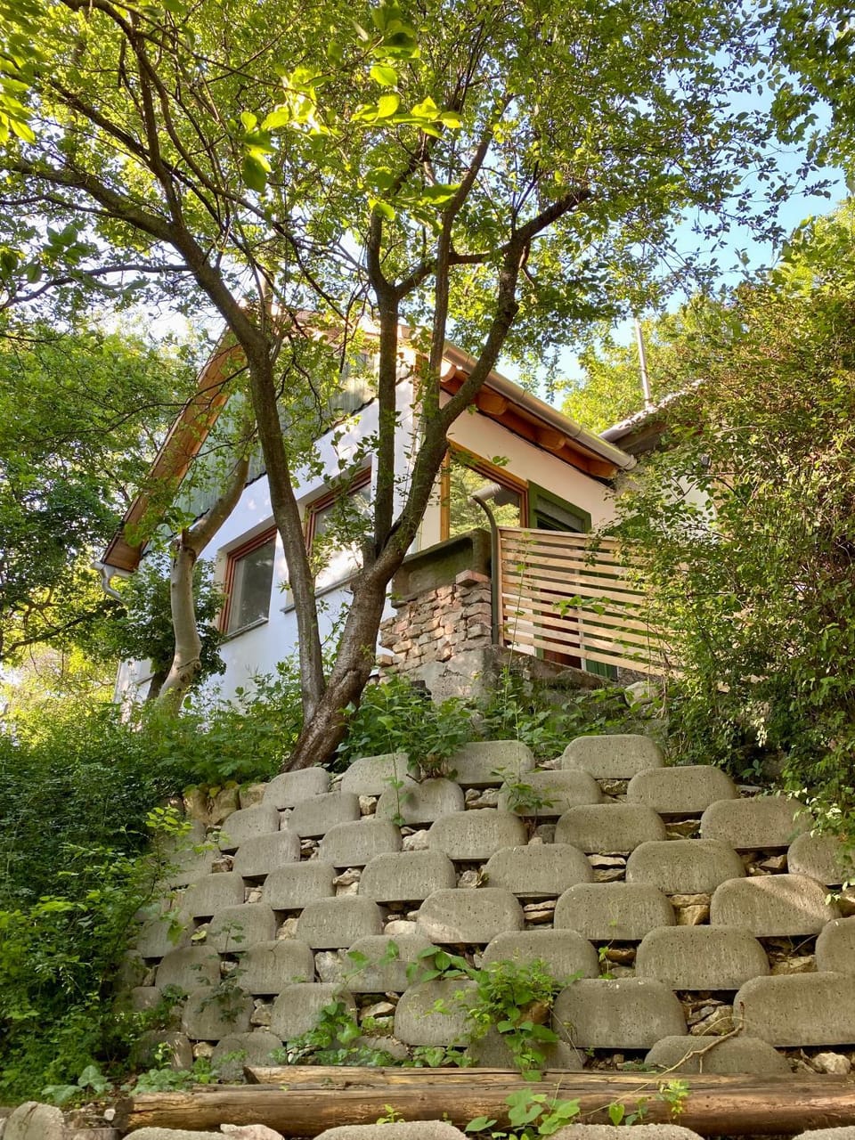 Property building, Natural landscape, Garden, View (from property/room), Garden view