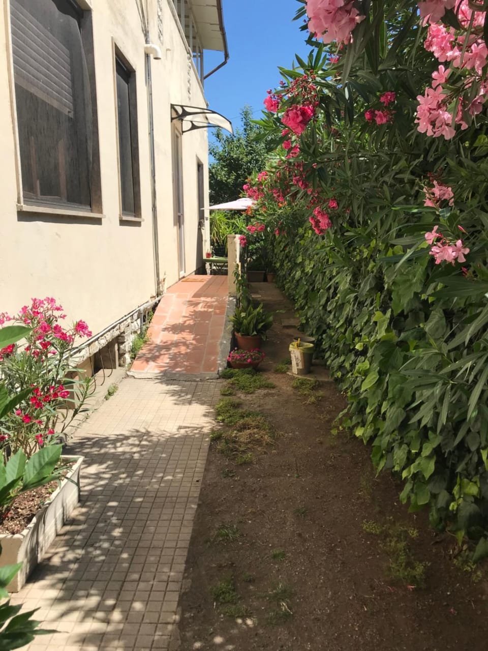 Casetta dei fiori Apartment in Livorno