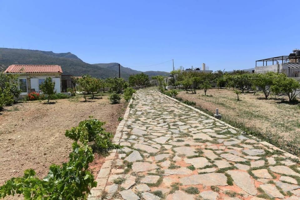 Anemones Apartments (3) Apartment in Lasithi
