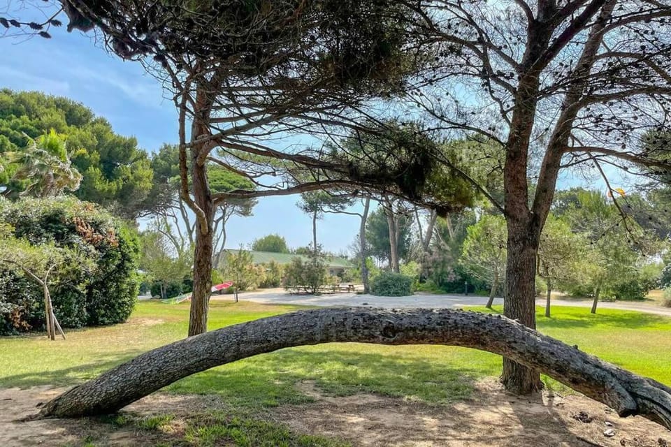 Natural landscape, Garden