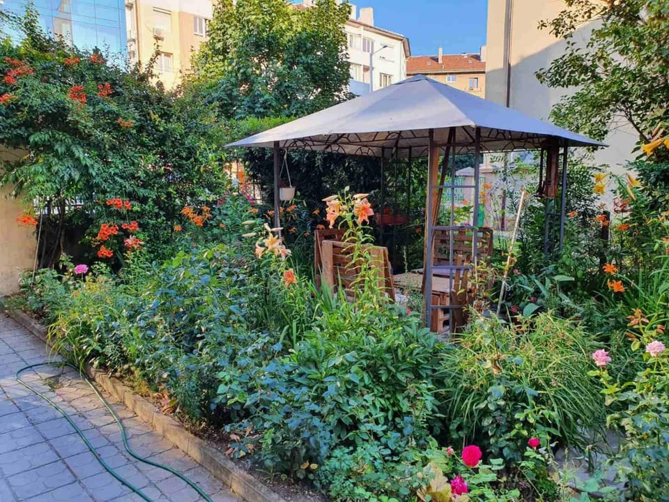 Patio, Spring, Garden