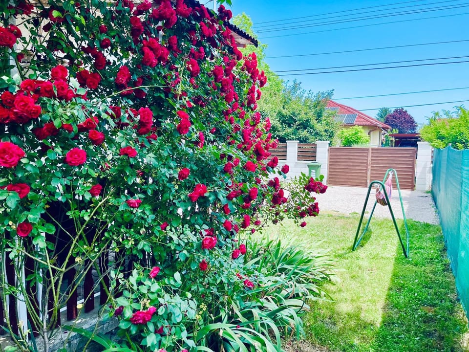 Garden, Garden view
