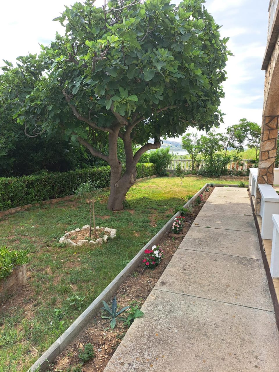 Inner courtyard view