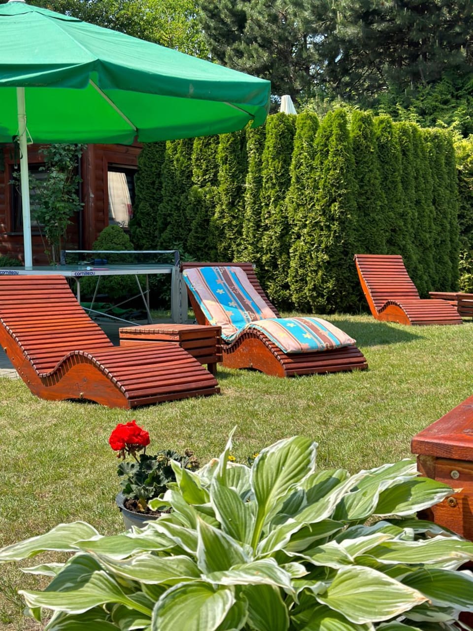 sunbed