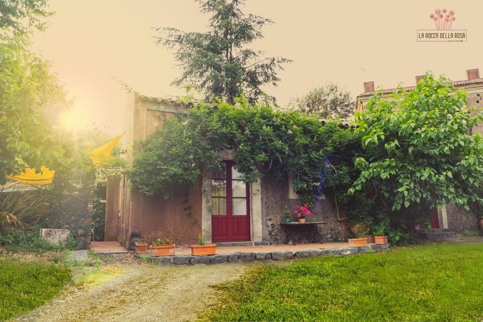 Facade/entrance, Garden