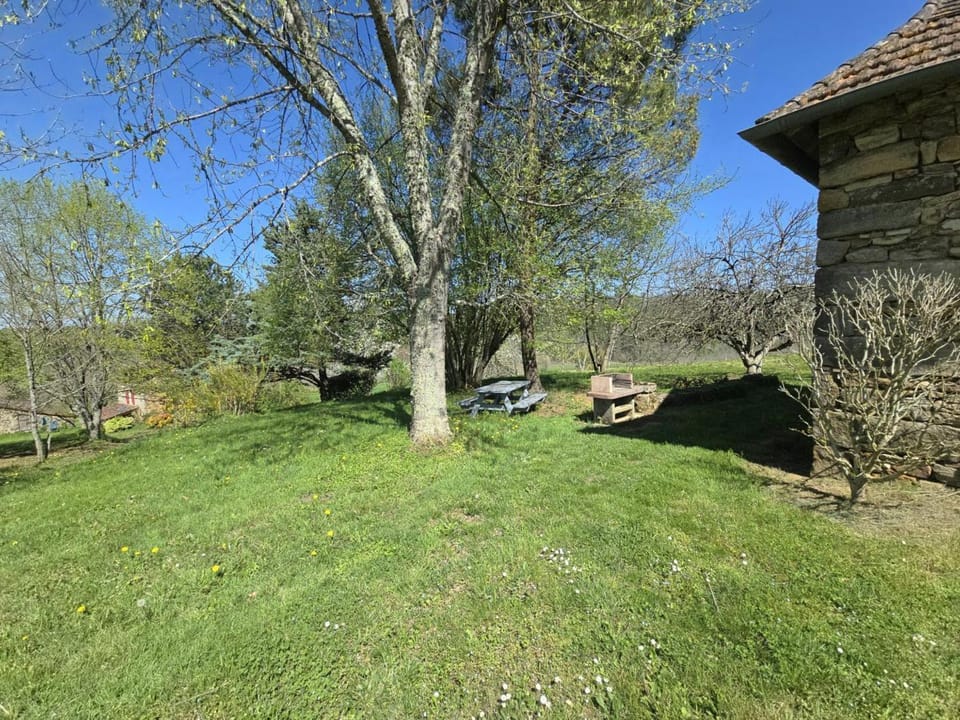 Location paisible proche de Belvès, animaux admis, terrasse - FR-1-616-147 House in Occitanie