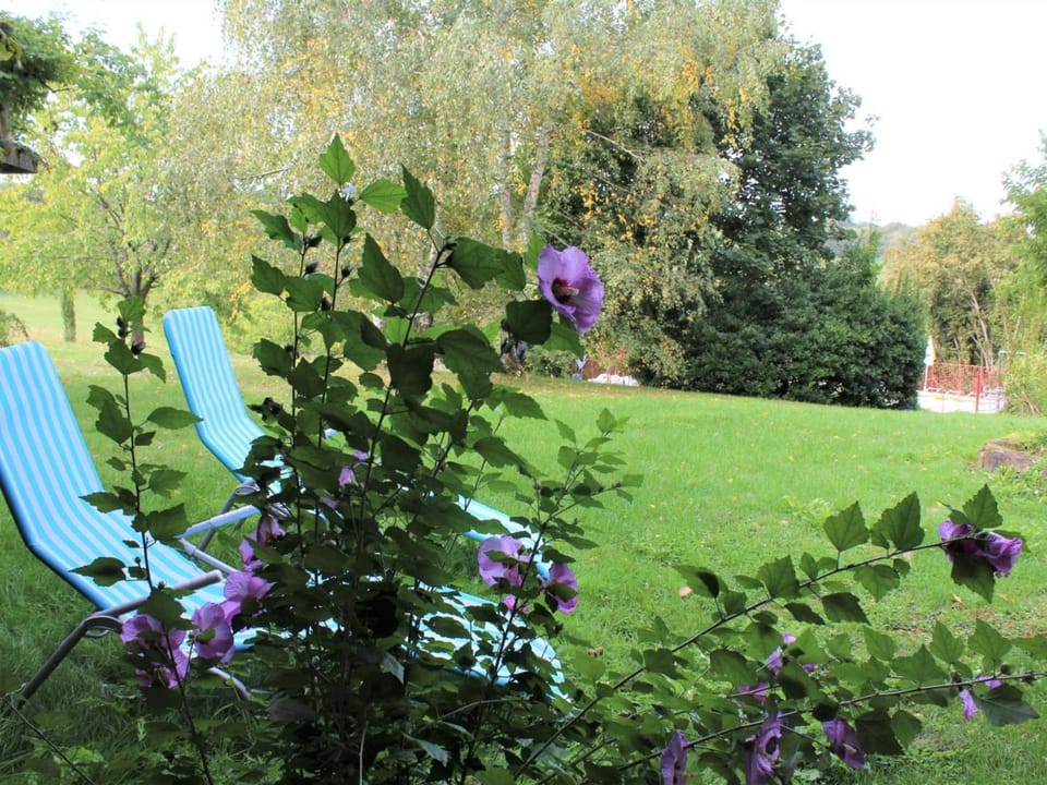 Location paisible proche de Belvès, animaux admis, terrasse - FR-1-616-147 House in Occitanie