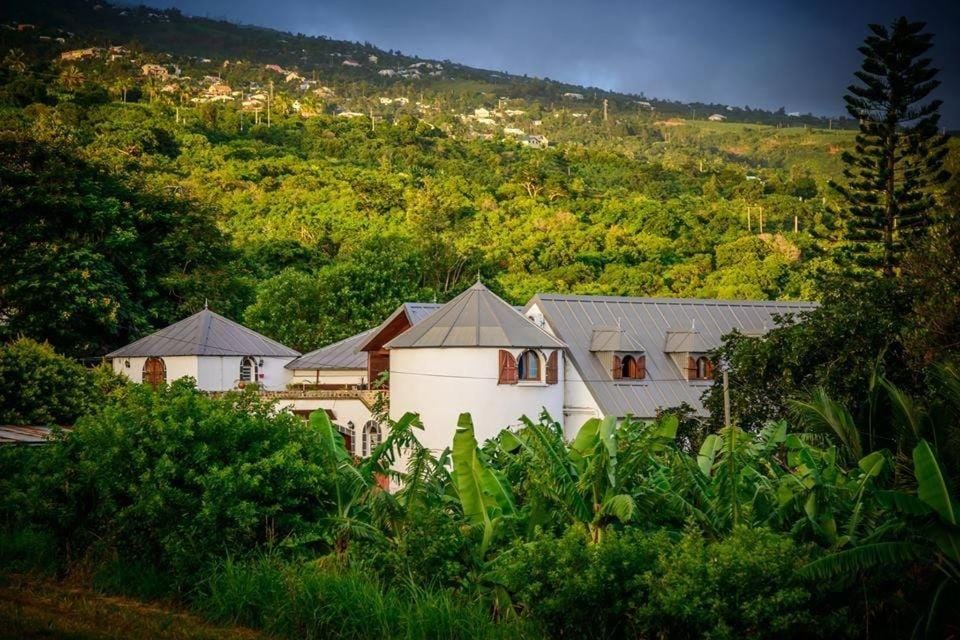 Ferme Equestre des Avirons Bed and Breakfast in Réunion