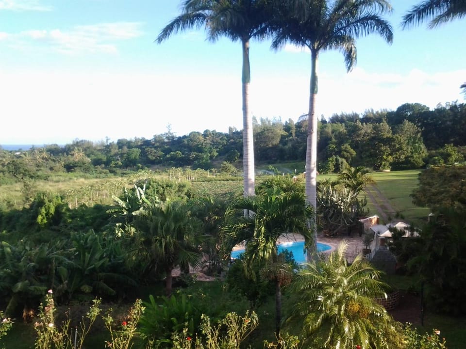 Ferme Equestre des Avirons Bed and Breakfast in Réunion