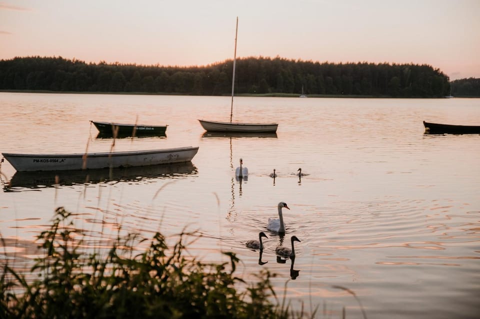 Natural landscape, Activities, Lake view, Sunset