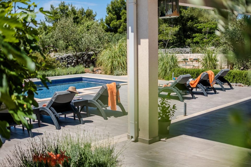 Garden, Garden view, Swimming pool, sunbed