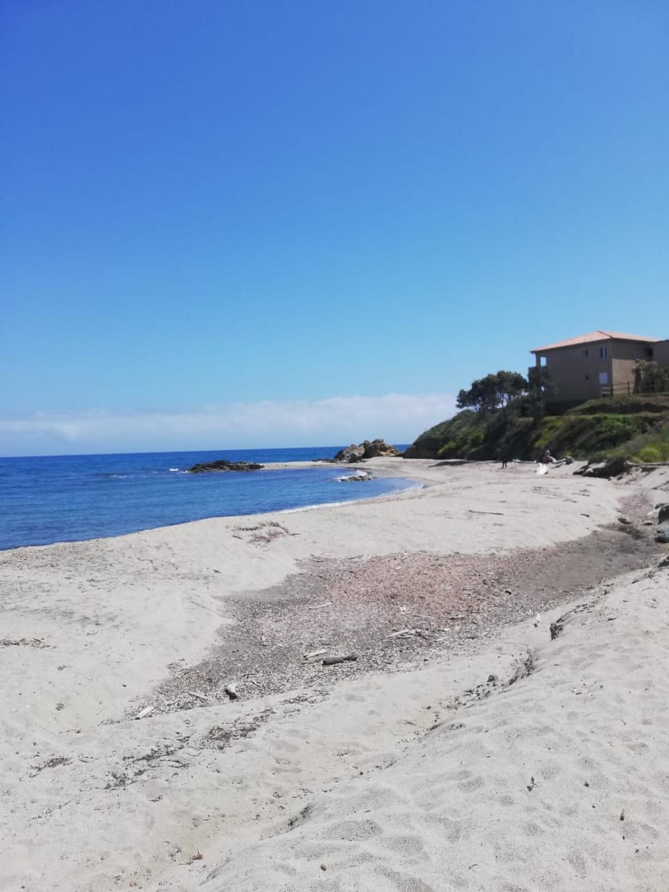 Studio les pieds dans l'eau vue sur mer Apartment in Linguizzetta