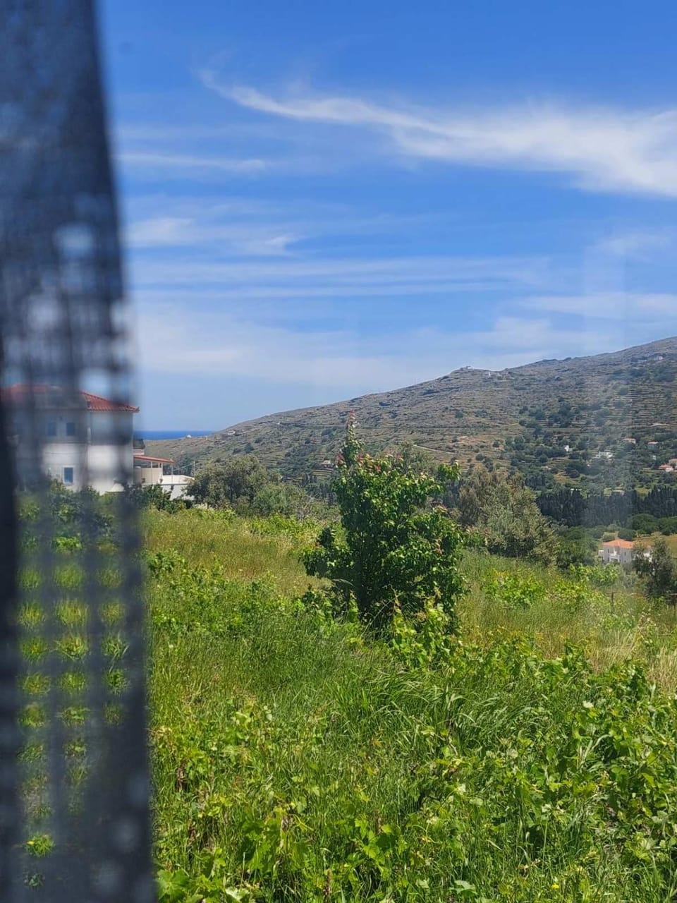 Palaiokrassa sunny appartment Apartment in Decentralized Administration of the Aegean
