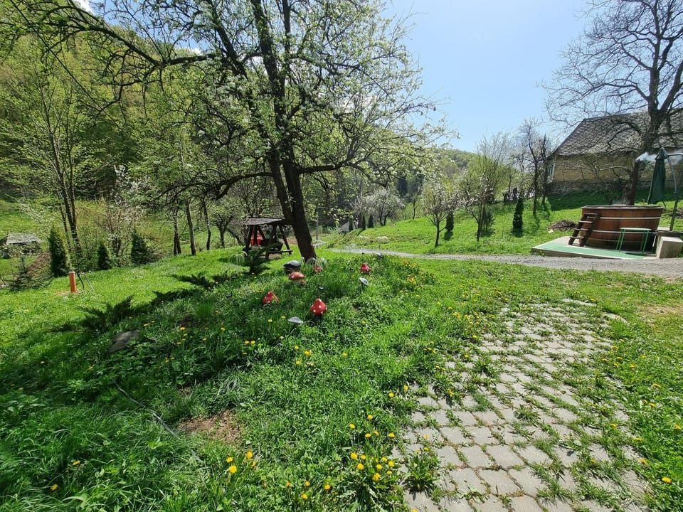 Cabana Ciupercuța Nature lodge in Romania