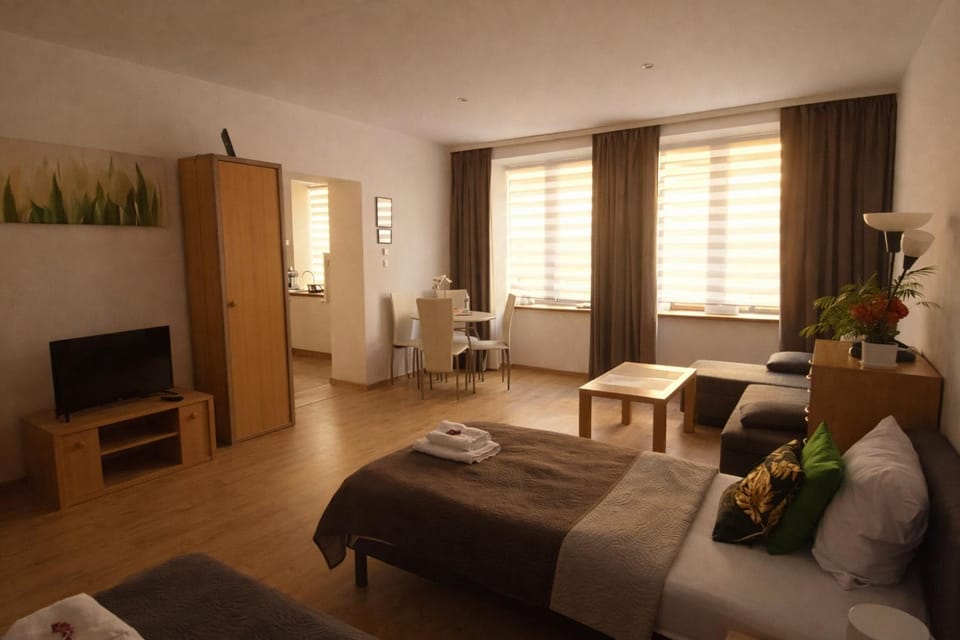 Apartament Śródmieście Przemyśl Apartment in Lviv Oblast