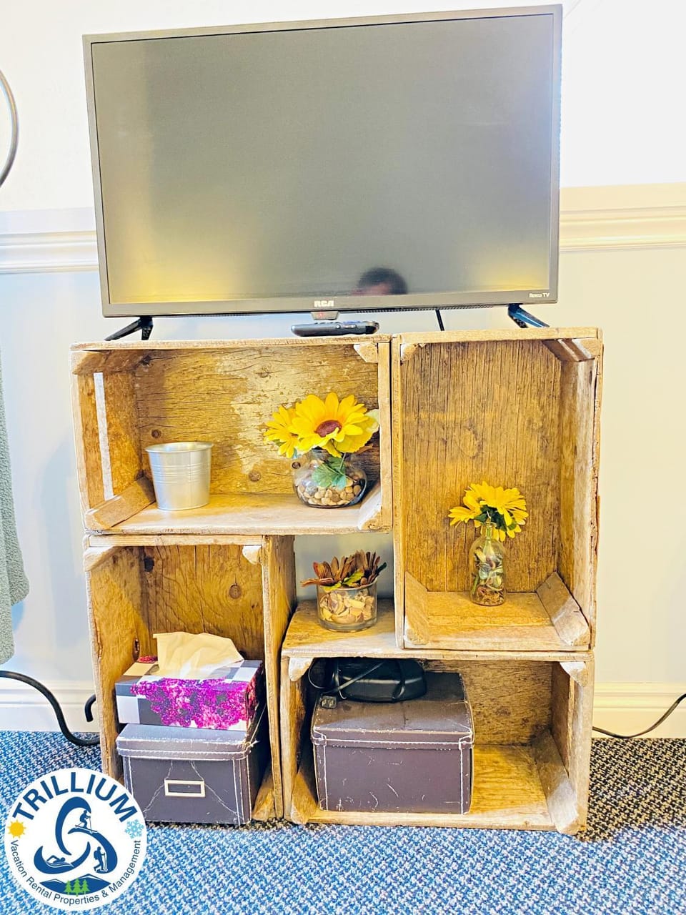 TV and multimedia