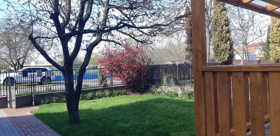 Patio, Spring, Garden, Garden view