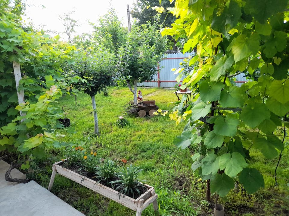 Garden, Garden view