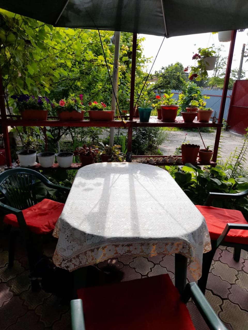 Garden view
