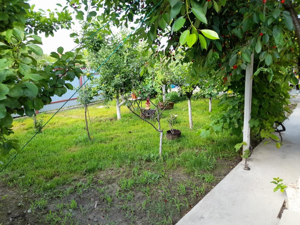 Garden, Garden view