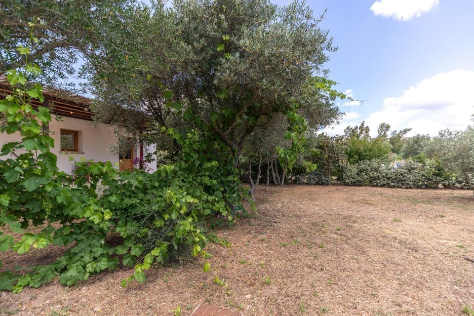 Casa Giulia - vacanze a Olbia House in Sardinia