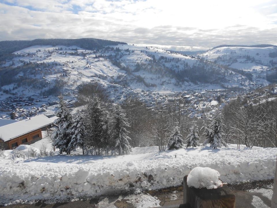 bouton d or Apartment in La Bresse