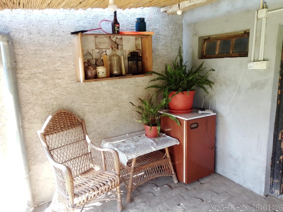 Rustic Haus Pivon House in Vojvodina