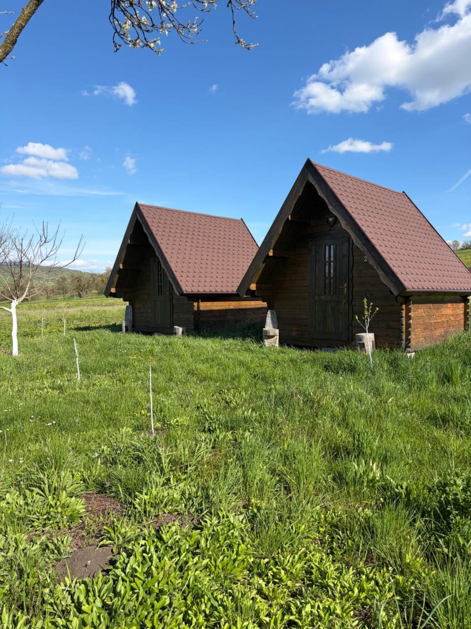 Pensiune Rozalia - Camping Bed and Breakfast in Brașov County