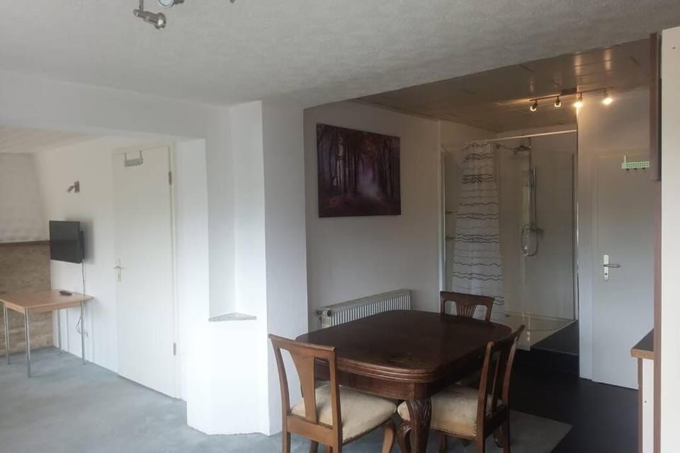 KaminStudio Apartment in Hesse