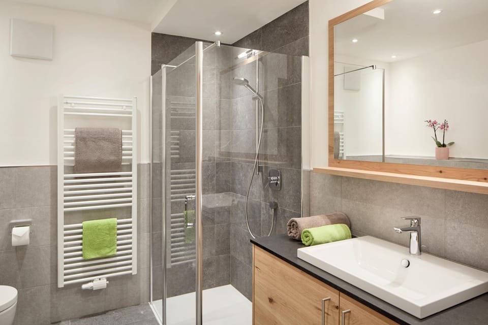 Shower, Toilet, Bathroom, towels