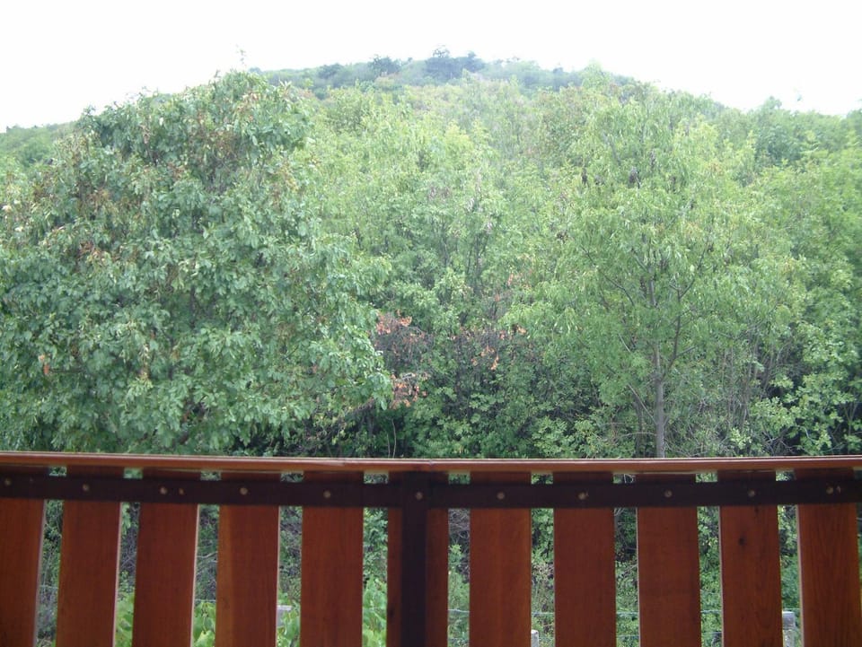 Natural landscape, View (from property/room), Mountain view