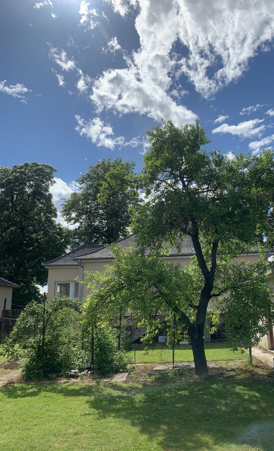 Property building, Spring, Day, Natural landscape, Garden, Garden view
