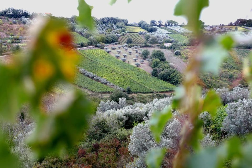 La Casa di Stefania LOFT House in Abruzzo