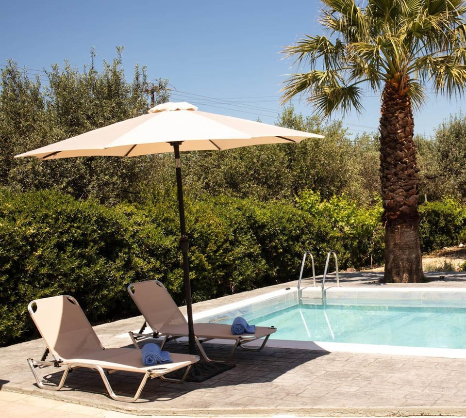 Day, Natural landscape, Garden, Garden view, Pool view, Swimming pool, Swimming pool, sunbed