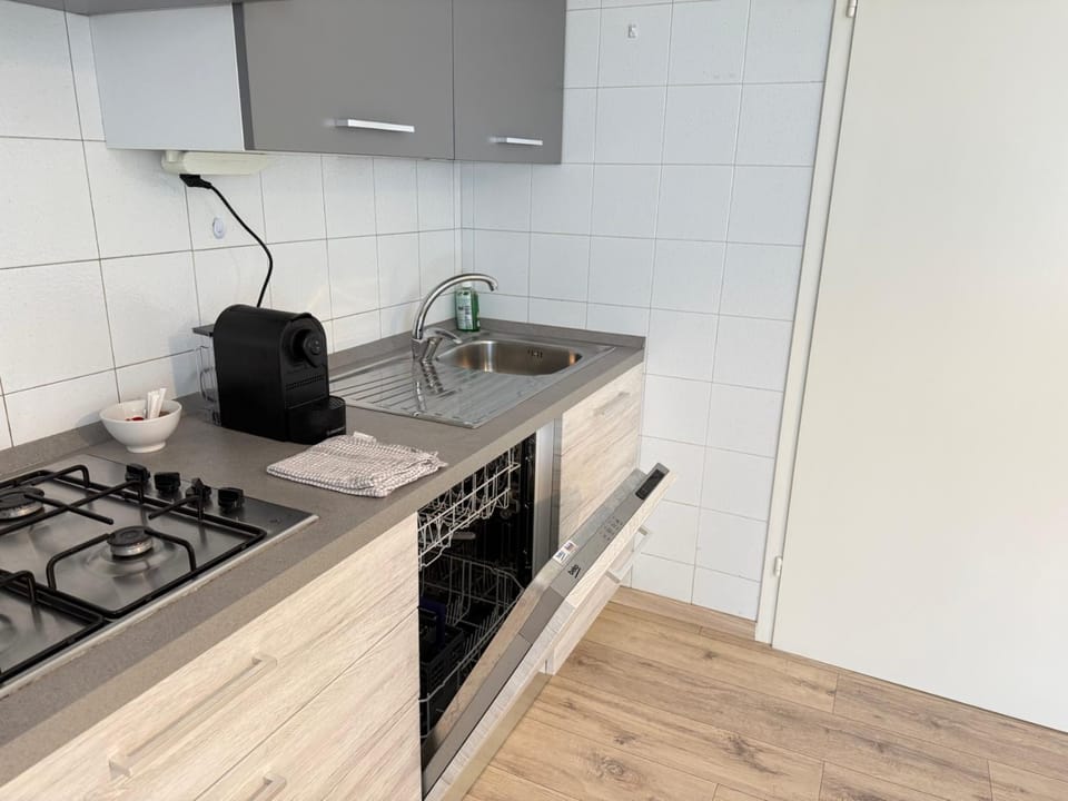 Kitchen or kitchenette, dishwasher, stove