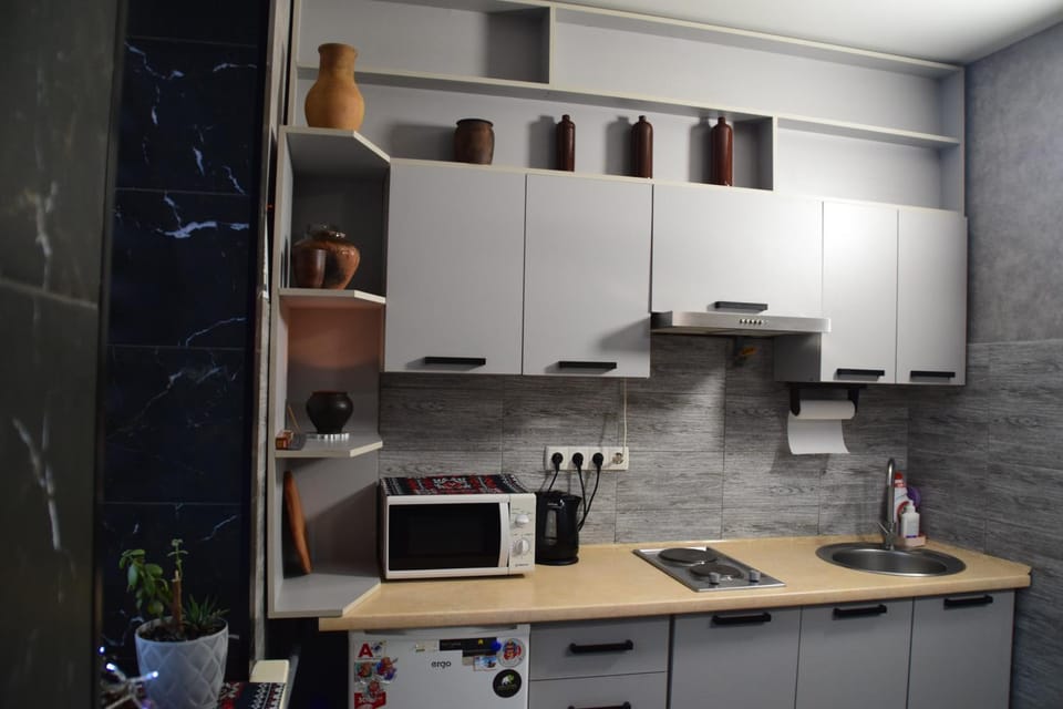 Kitchen or kitchenette, minibar, stove