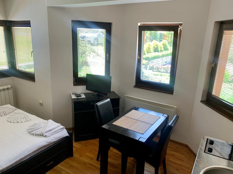 Vila Darija Zlatar - studio apartman br. 2 Apartment in Zlatibor District, Serbia