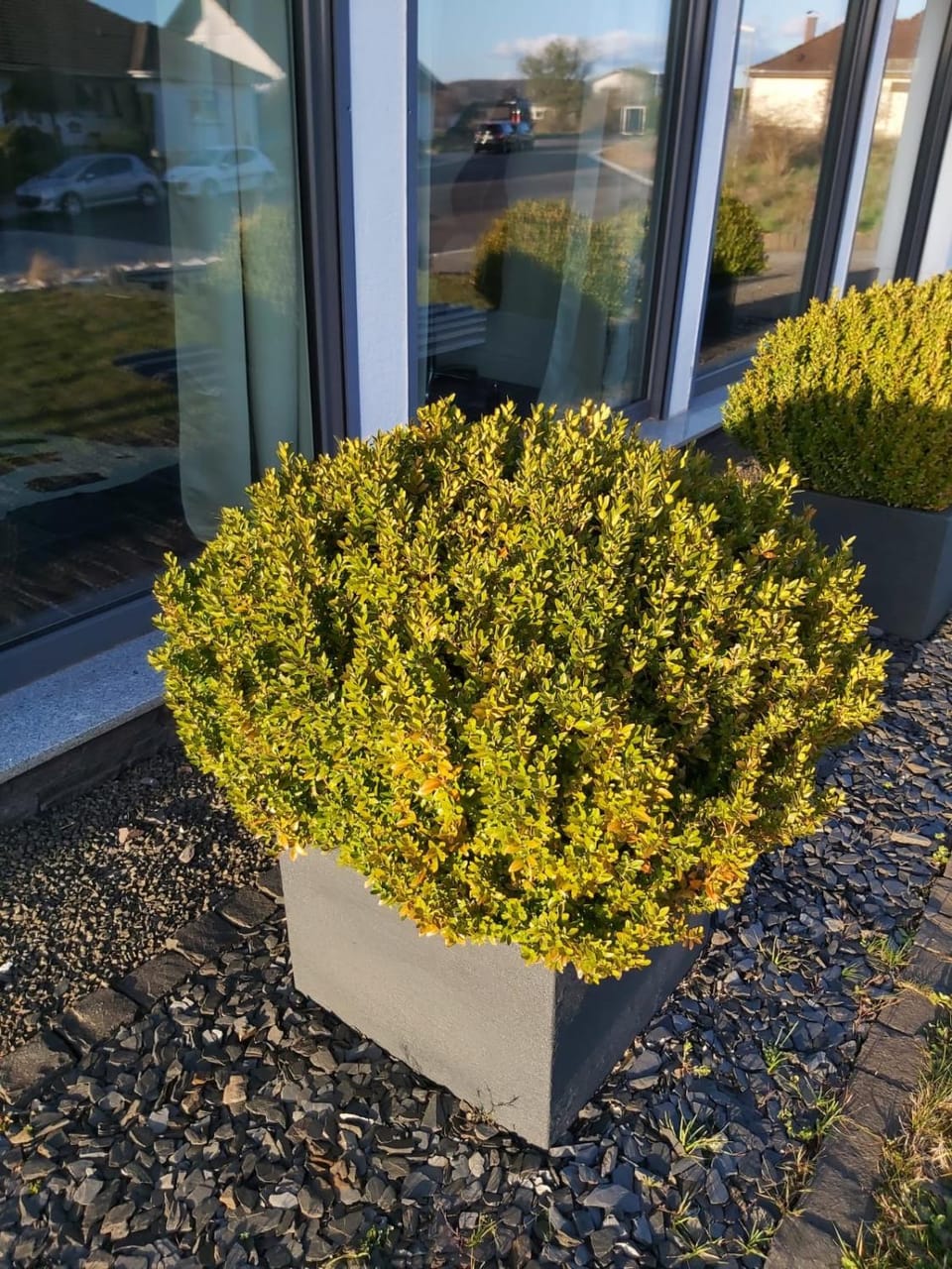 Ferienwohnung Auszeit Im Haag Apartment in Saarland, 66, Germany