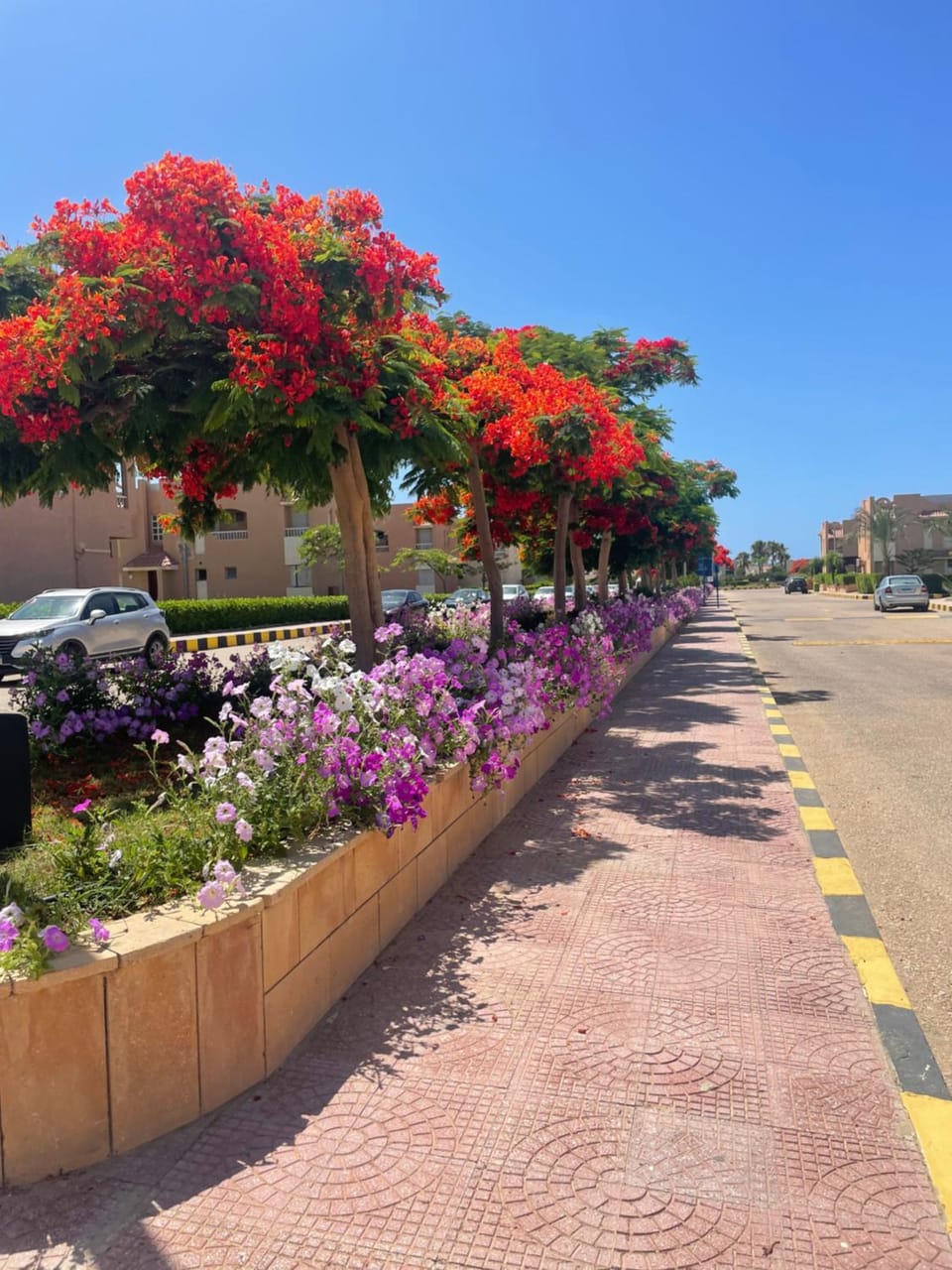Spring, Garden, Street view
