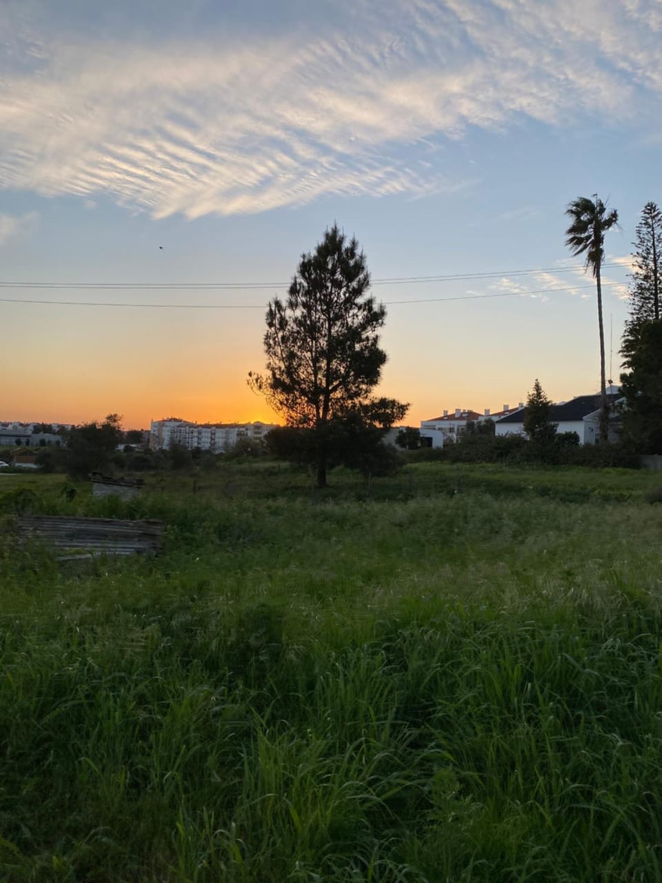 Day, Natural landscape, Sunset