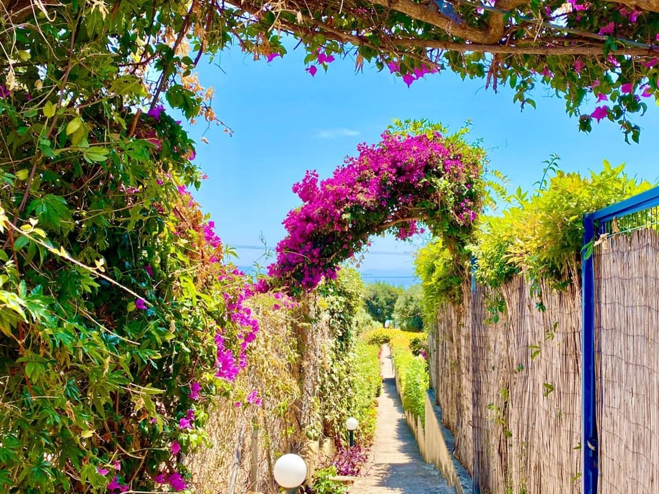Garden, Other