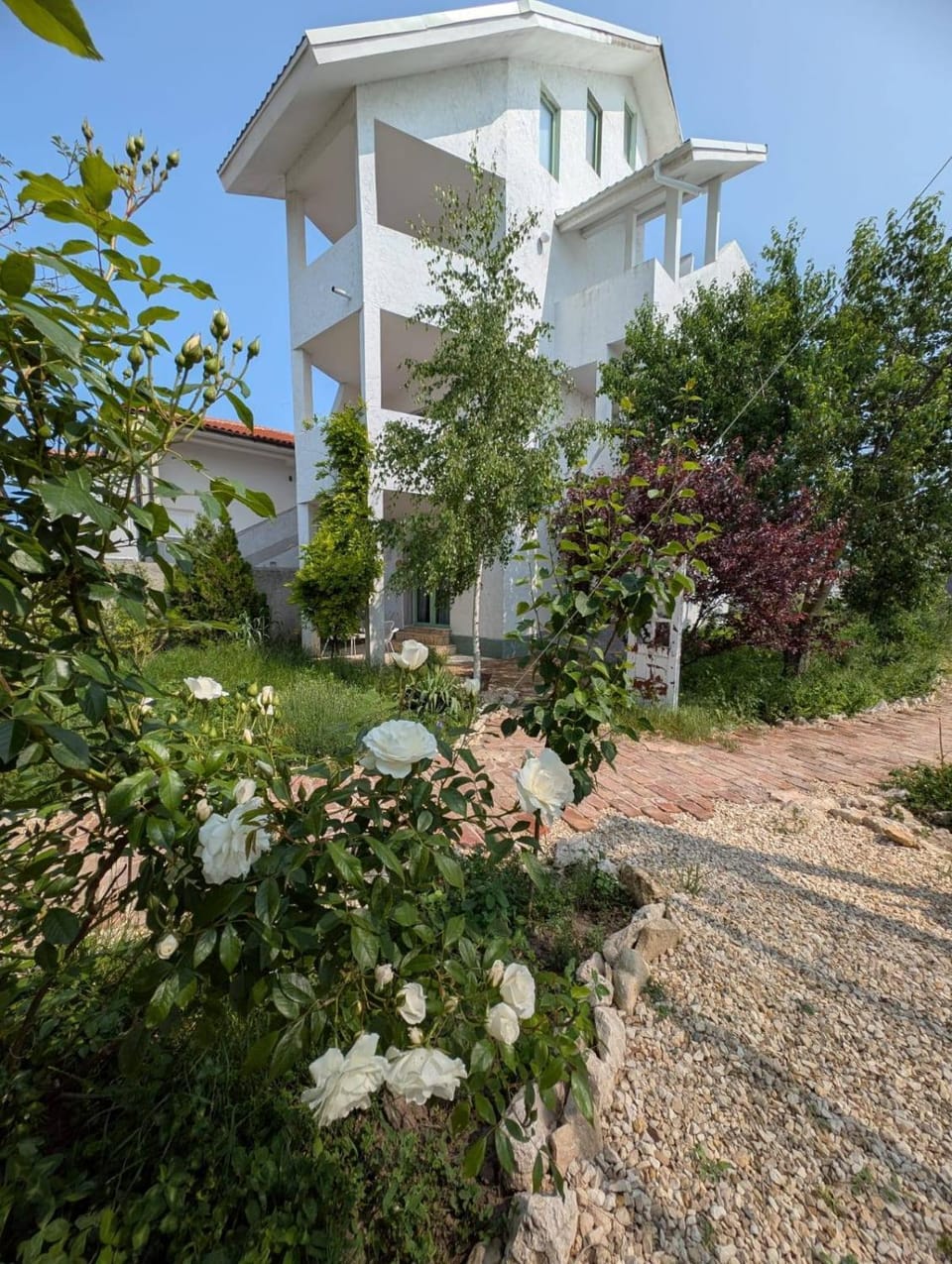 Garden, Inner courtyard view