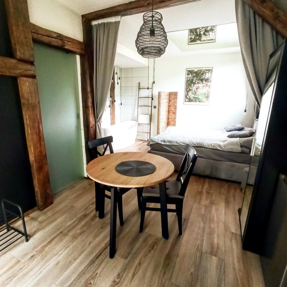 GÓRNA VIBES Apartment in Lower Silesian Voivodeship