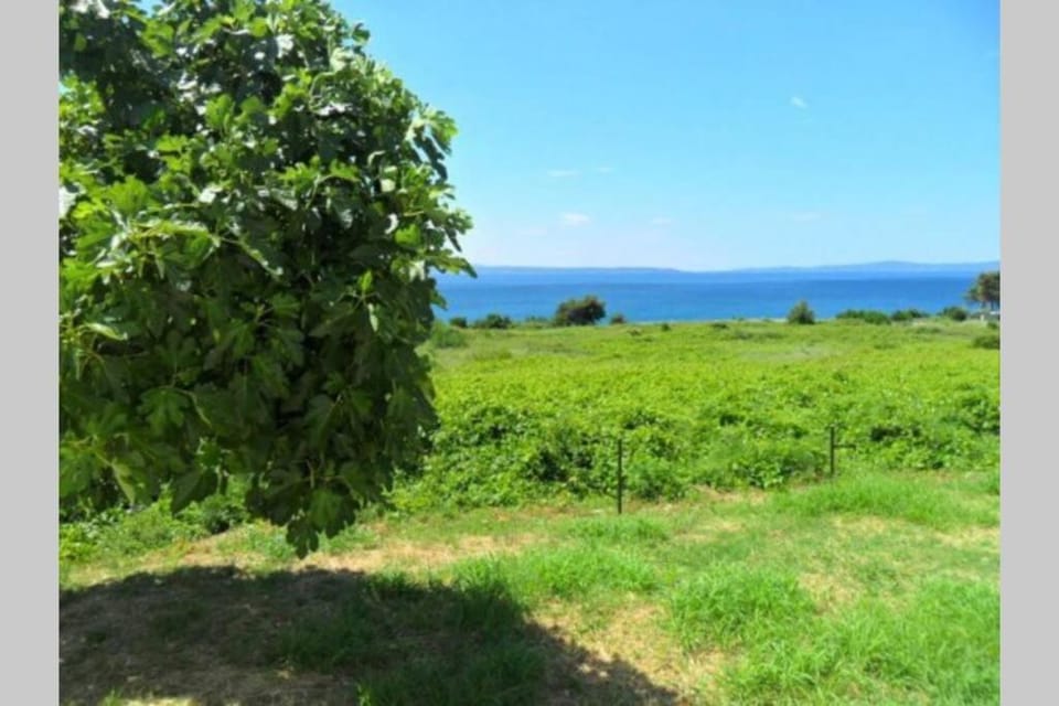 Summerhouse Calypso Apartment in Split