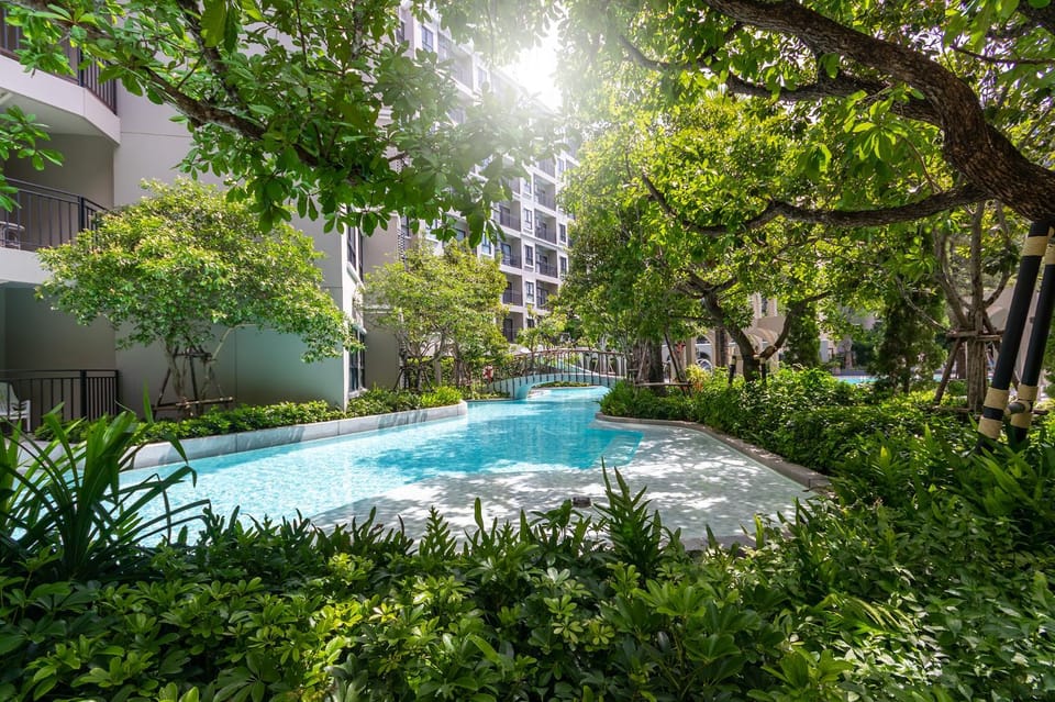 Garden, Swimming pool