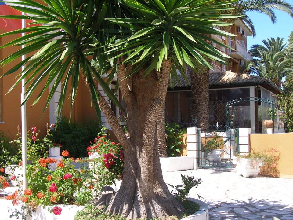 Property building, Garden